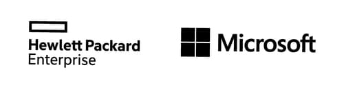 Microsoft Windows Server 2022 1 User CAL Multilingual License