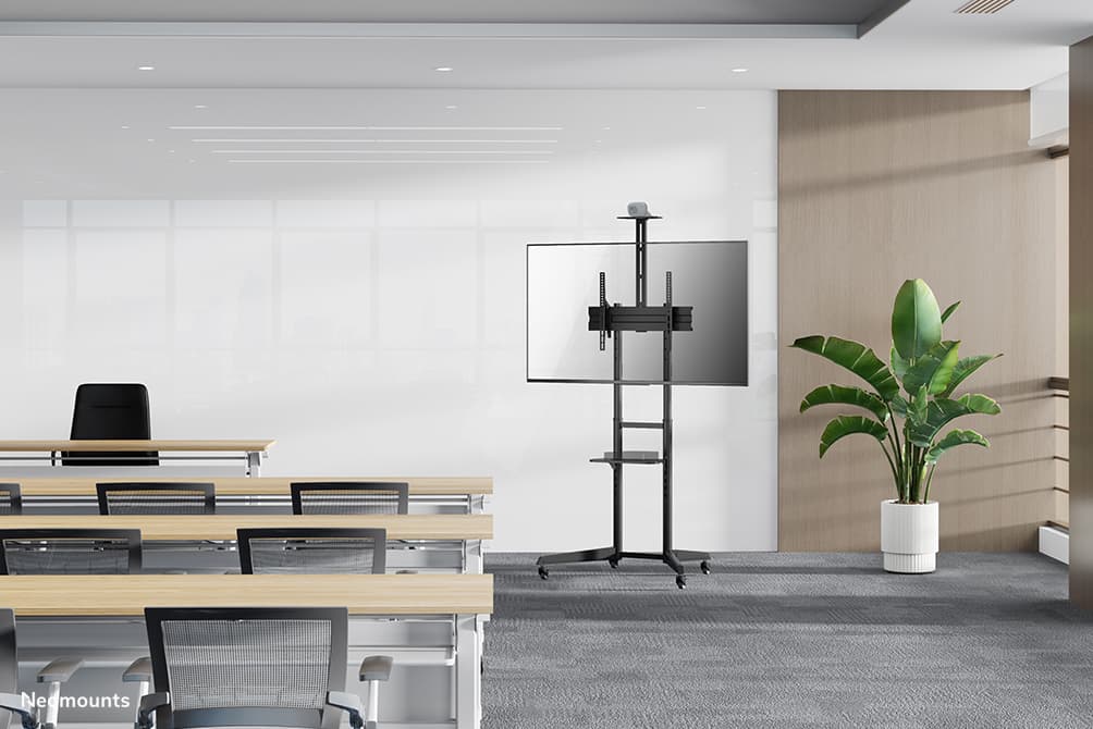 Support mural NEOMOUNTS FL50-550BL1 pour téléviseurs 37-70" — photo 18 sur 20