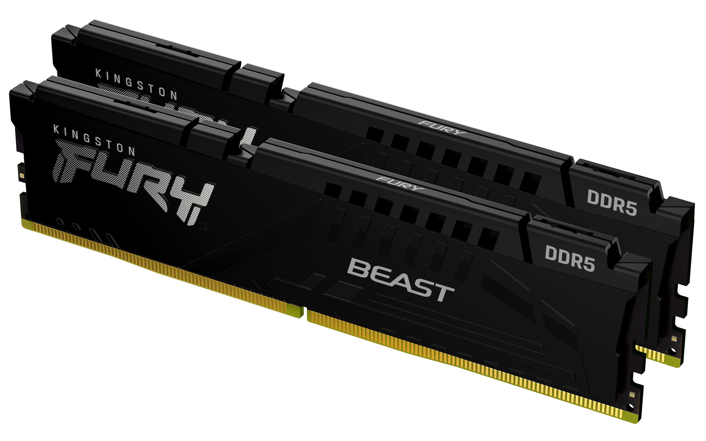 FURY Beast  - 16 GB - 2 x 8 GB - DDR5 - 288-pin DIMM
