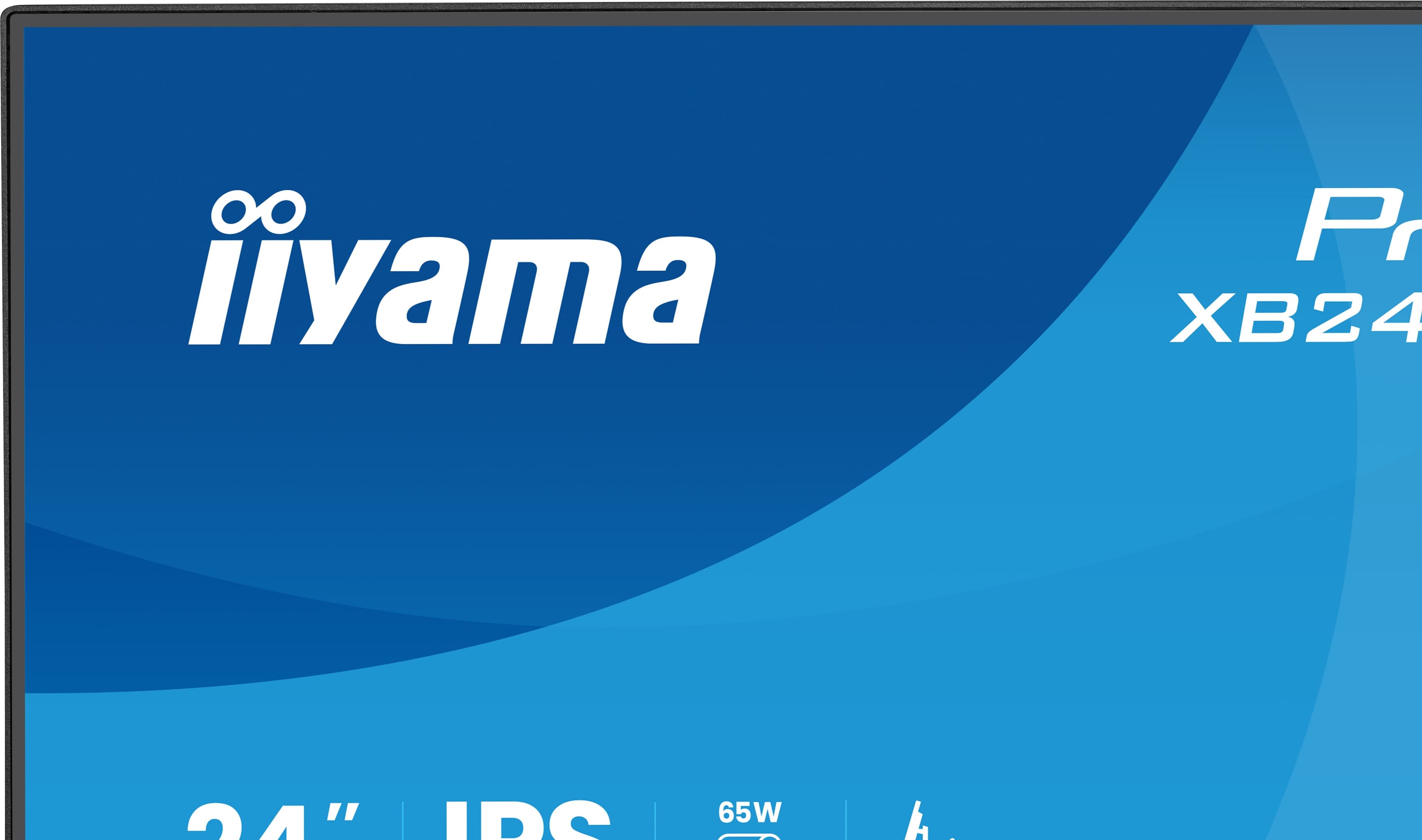 IIYAMA ProLite XB2496HSC-B1 — photo 4 sur 15