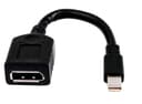 HP Mini DisplayPort to DisplayPort Adapter Cable