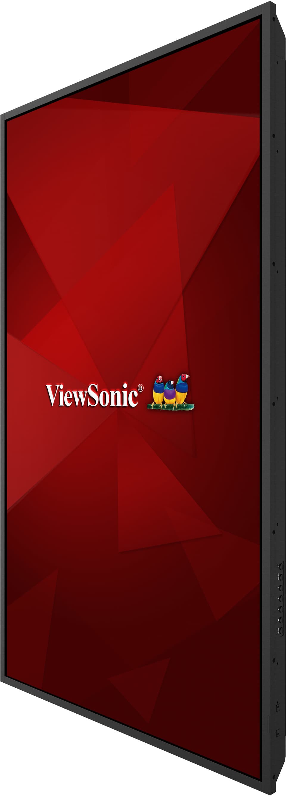 Écran ViewBoard LED grand format 55" 4K 500 nits — photo 3 sur 6