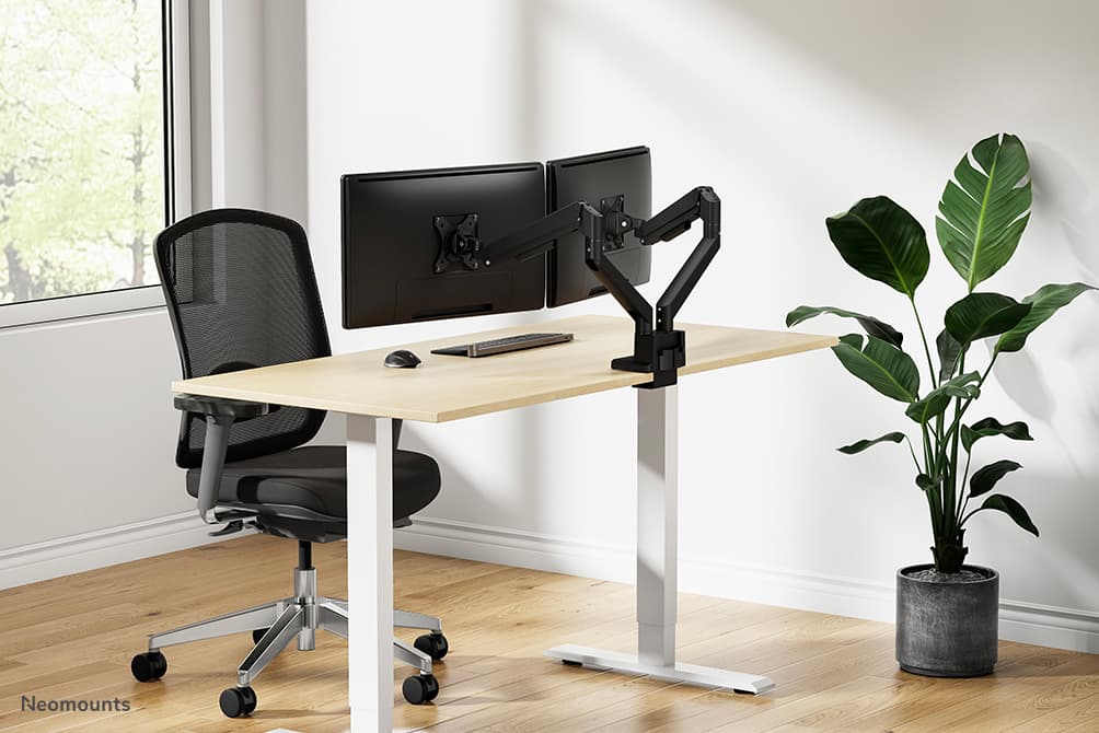 NEXT Slim Dual Monitor Arm — photo 15 of 18
