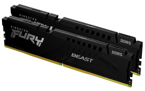 FURY Beast - 16 GB - 2 x 8 GB - DDR5 - 288-pin DIMM