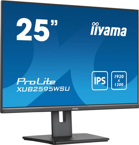 ProLite 25 inch - WUXGA IPS LED Monitor - 1920x1200 - Pivot / HAS