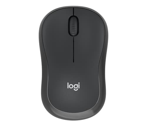 Souris sans fil Logitech M240 Business - Graphite