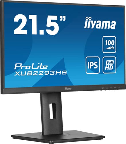 IIYAMA ProLite 22" Full HD IPS LED Monitor
